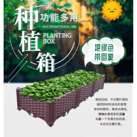 标准种植箱