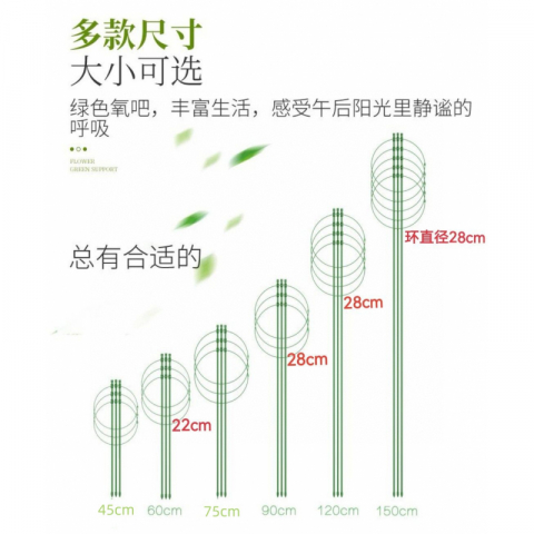 2套调节多环花支撑架