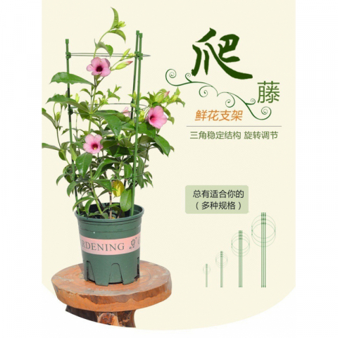 2套调节多环花支撑架