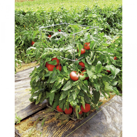 方形折塔铁番茄架100*30cm