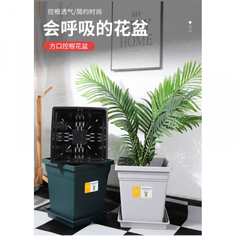 3只7加仑灰白小果汀方盆之一