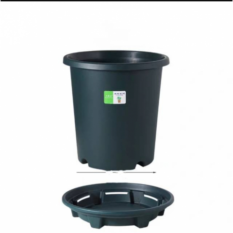 3只小果汀加仑圆盆托盘之一