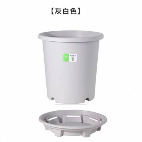 3只小果汀加仑圆盆托盘之一