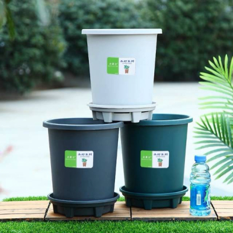 3只小果汀加仑圆盆托盘之一