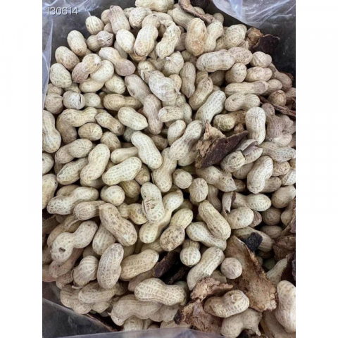 新货正宗的陳皮花生 好吃不上火 4袋*1磅