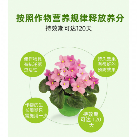 2瓶*40g（约200片）园艺防虫片