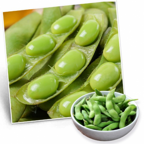 金筷子 急冻毛豆仁/夹 6包