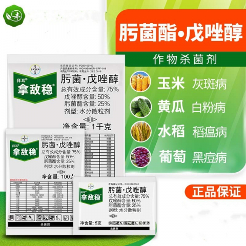 5g/袋拿敌稳肟菌脂戊唑醇杀菌剂