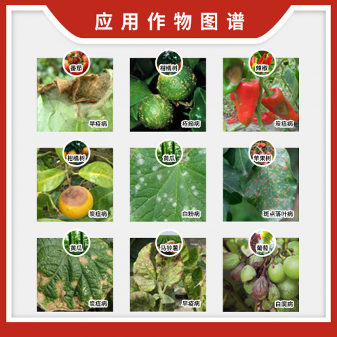 5g/袋拿敌稳肟菌脂戊唑醇杀菌剂