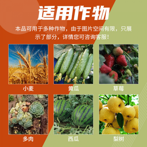 50g/袋国光三唑酮杀菌剂