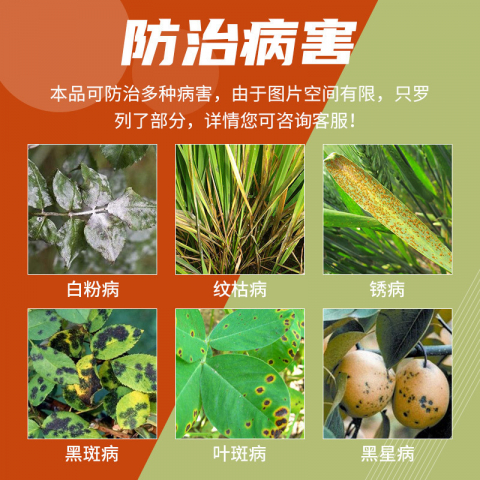 50g/袋国光三唑酮杀菌剂