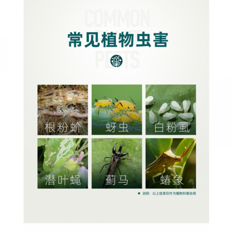 30g/瓶千百季锐丽噻虫胺杀虫剂