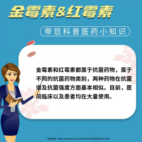 2.5g/盒双吉盐酸金霉素眼膏