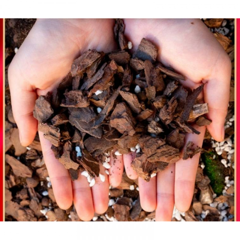 5L兰科专用土营养土