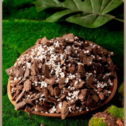 5L兰科专用土营养土