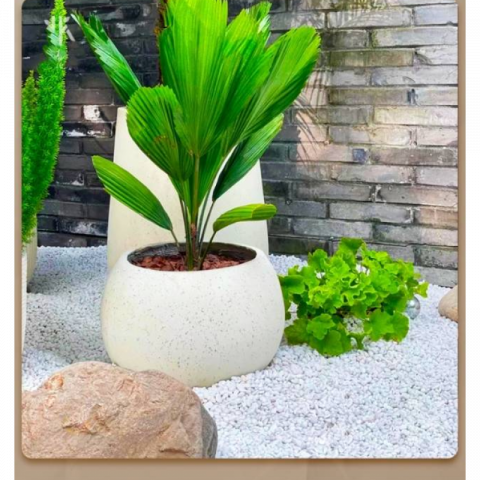 10斤园艺种植白石子