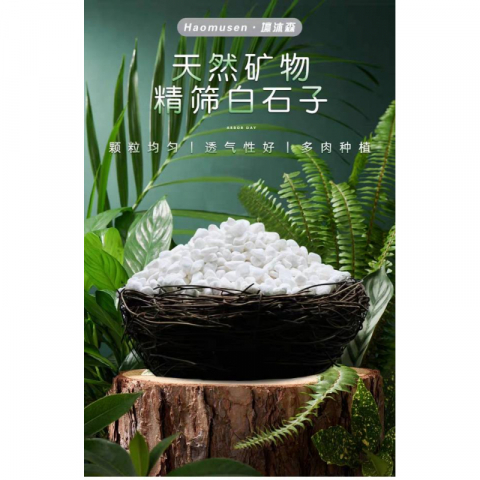 10斤园艺种植白石子