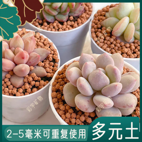 园艺种植陶化多元土营养土2～5mm