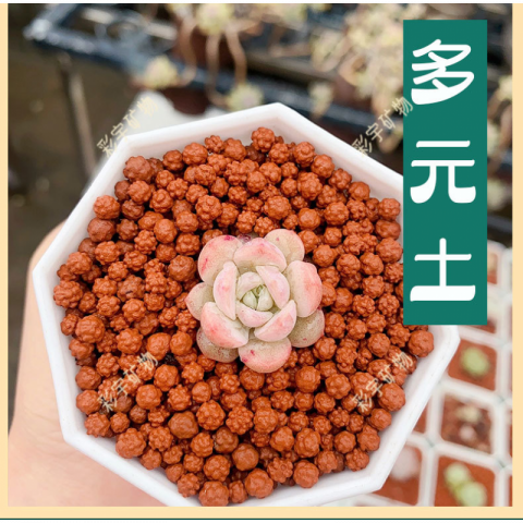 园艺种植陶化多元土营养土2～5mm