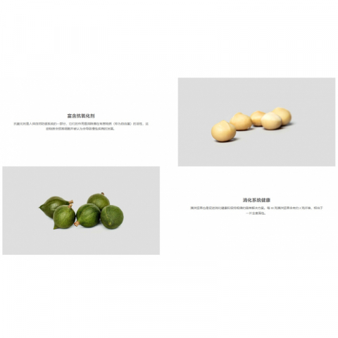 纯进口澳洲夏威夷果带壳 2包