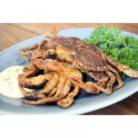 金筷子 野生软壳蟹