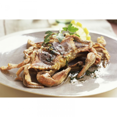 金筷子 野生软壳蟹