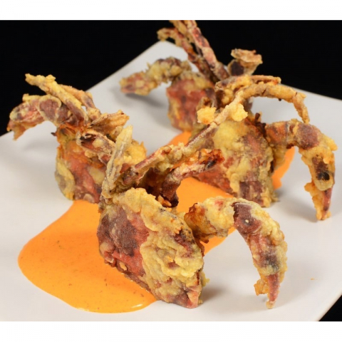 金筷子 野生软壳蟹