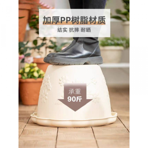 爱丽思花朵浮雕花盆