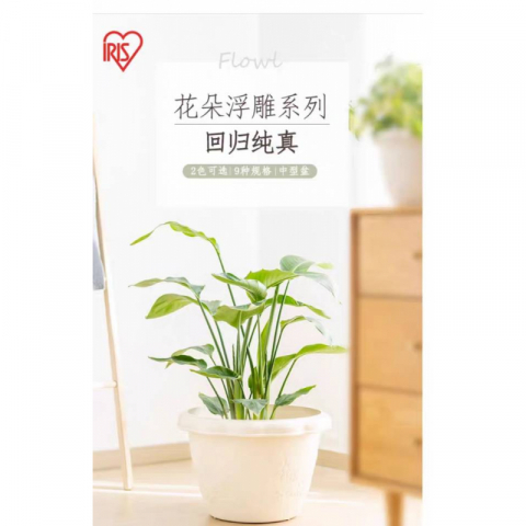 爱丽思花朵浮雕花盆