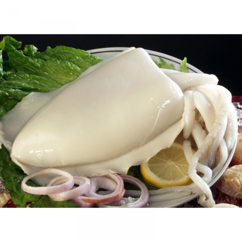 金筷子 超新鲜：急冻中号墨鱼 2磅