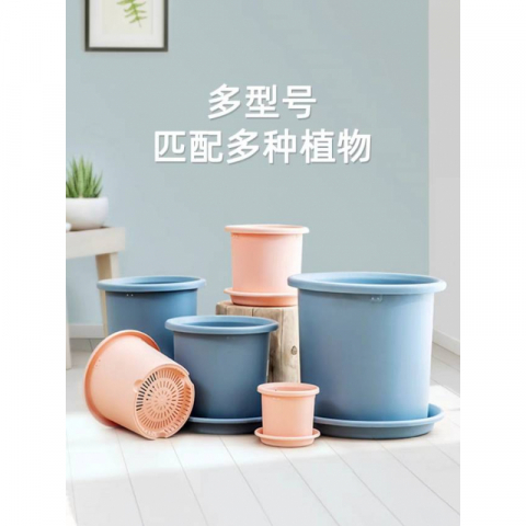 爱丽思彩色花盆