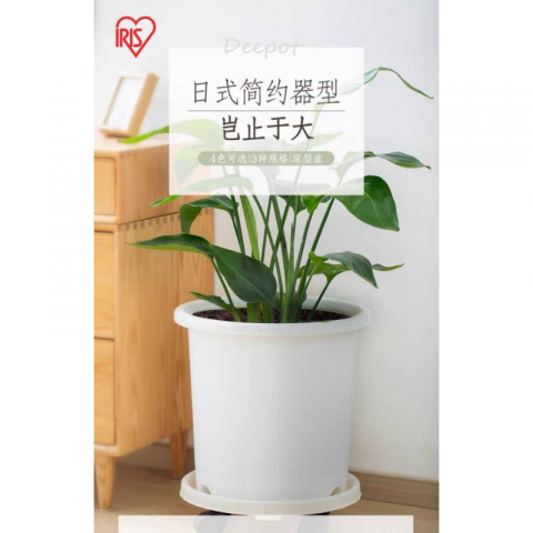 爱丽思深型花盆