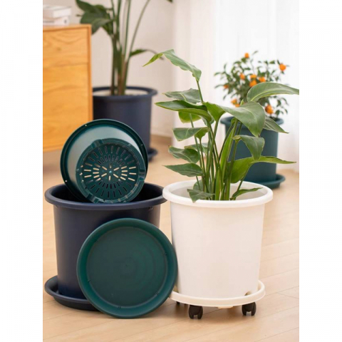 爱丽思深型花盆