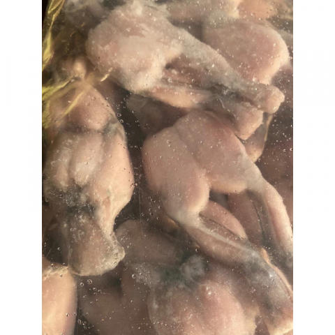 新鲜冰冻田雞肶
