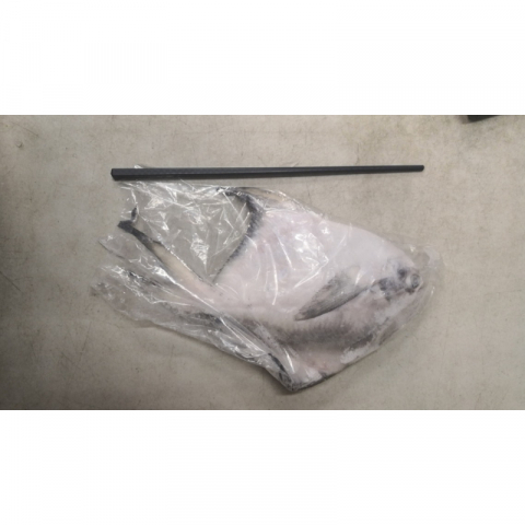 极品船冻锁鲜舟山大白鲳 2条