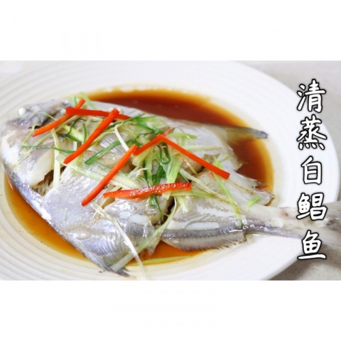 极品船冻锁鲜舟山大白鲳 2条