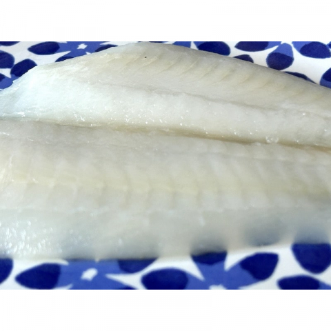 野生阿拉斯蝶鱼Sole