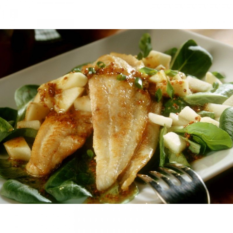 野生阿拉斯蝶鱼Sole