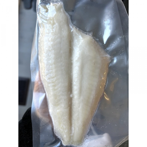 野生阿拉斯蝶鱼Sole