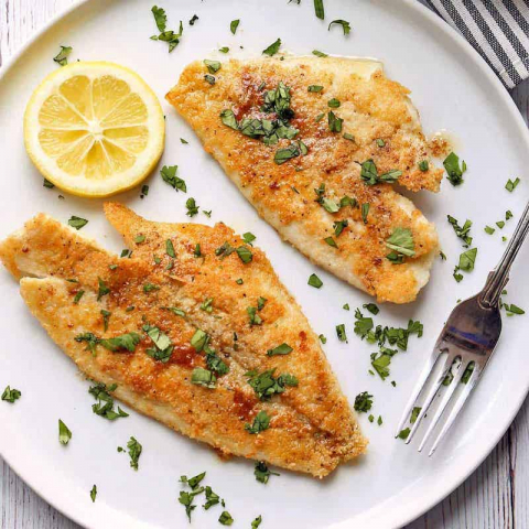 野生阿拉斯蝶鱼Sole