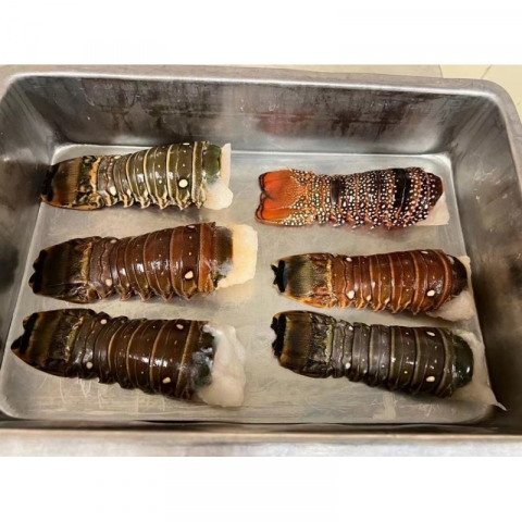 精品南美野生龙虾尾10只