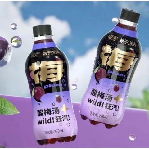 历史第一瓶-带汽的酸梅汤