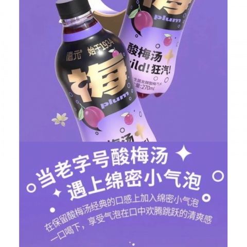 历史第一瓶-带汽的酸梅汤