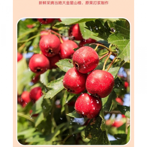 维C山楂饼/果丹皮 4包