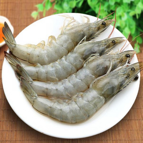 鲜冻太平洋大虾