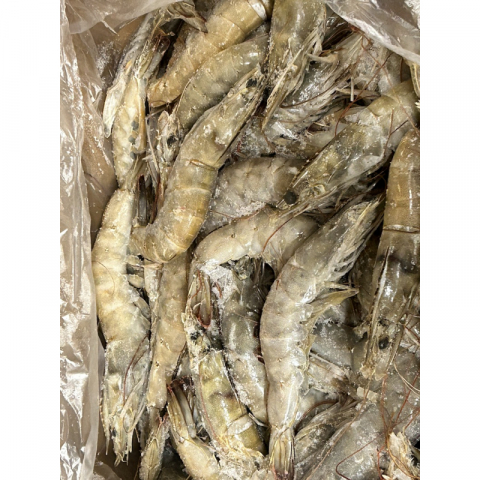 鲜冻太平洋大虾