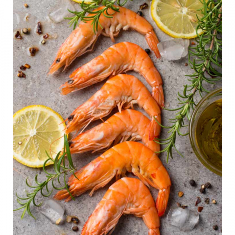 鲜冻太平洋大虾