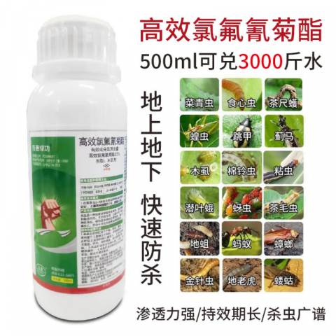 500g/瓶高效氯氟氰菊酯杀虫剂