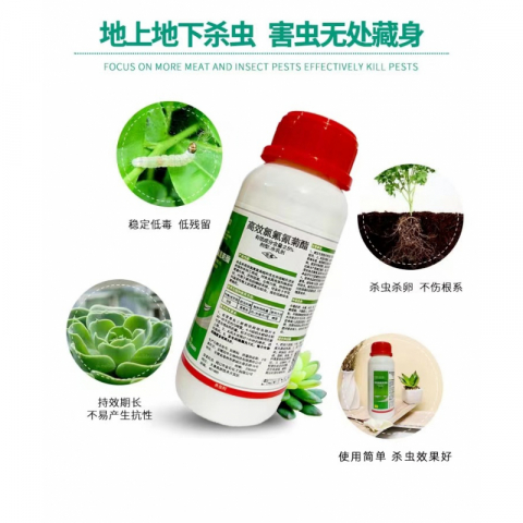 500g/瓶高效氯氟氰菊酯杀虫剂