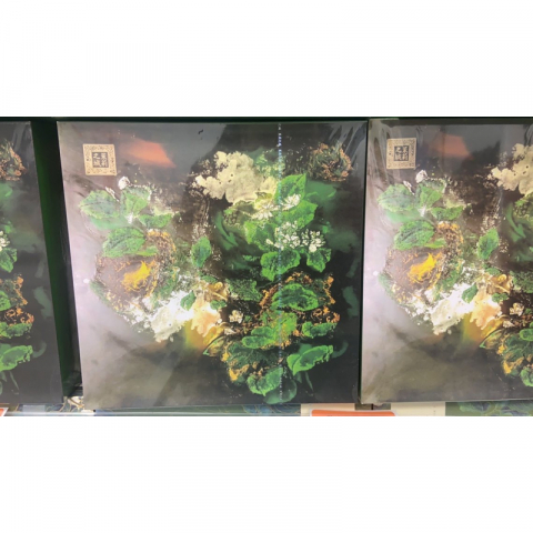 茉莉红茶/茉莉花茶